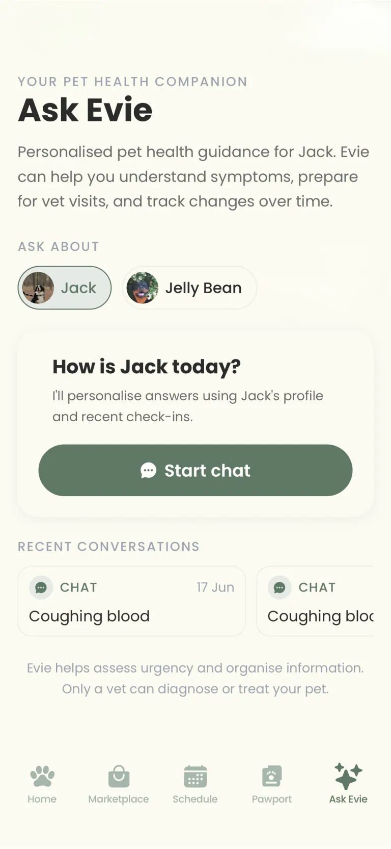 Ask Evie product screen