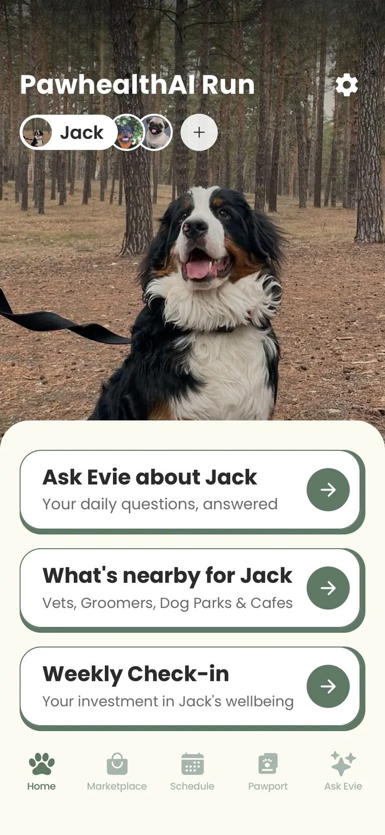 PawHealthAI home screen for Jack